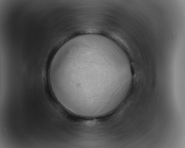 X0000087740306200705291018