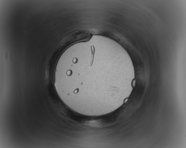 X0000087740312200705291018