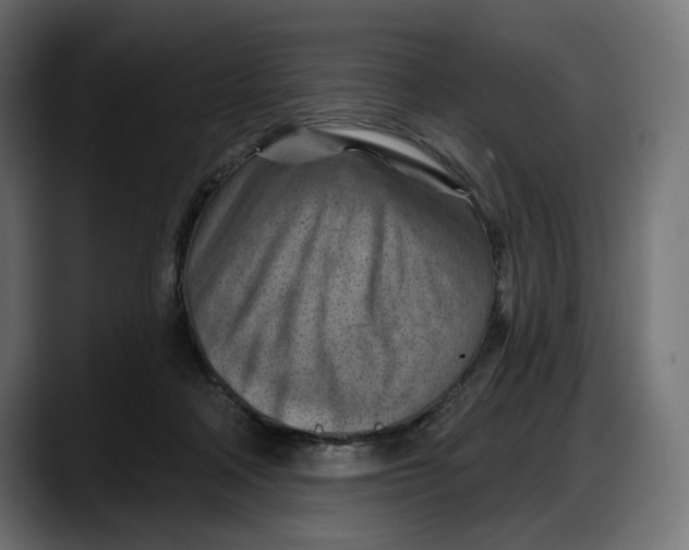 X0000087740314200705291018