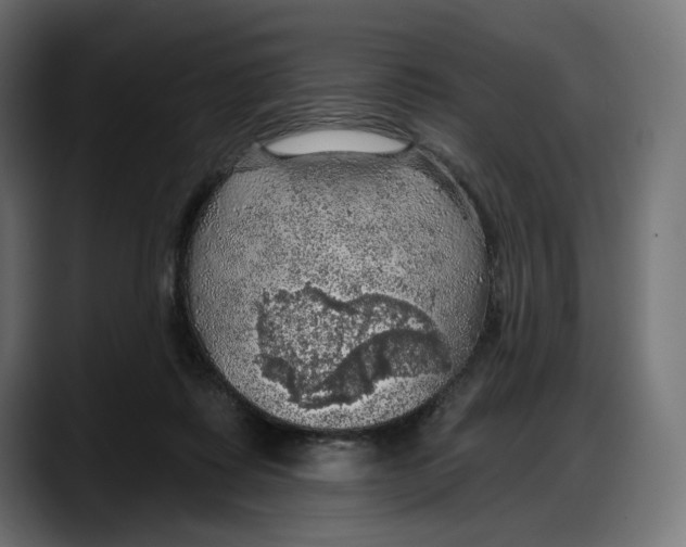 X0000087740315200705291018
