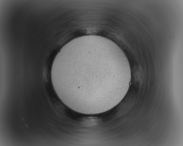 X0000087740316200705291018
