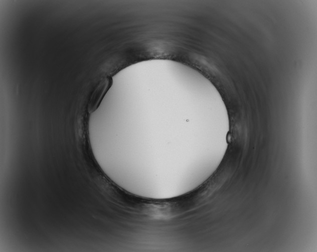 X0000087740317200705291018