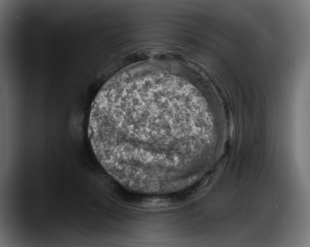 X0000087740319200705291018