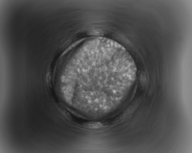X0000087740322200705291018