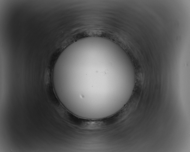 X0000087740323200705291018