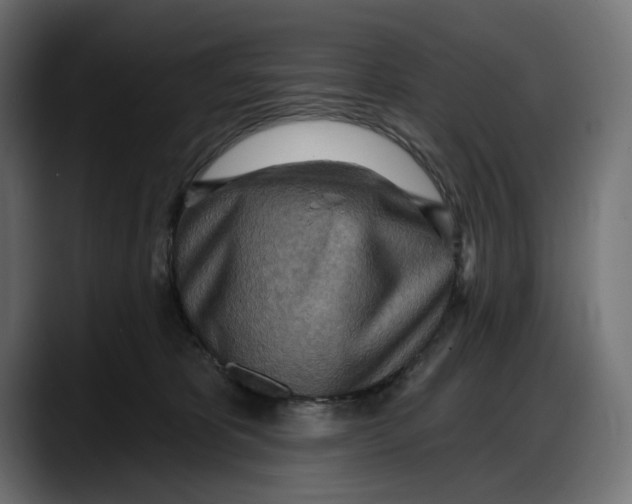 X0000087740325200705291018