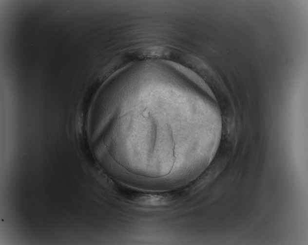 X0000087740326200705291018