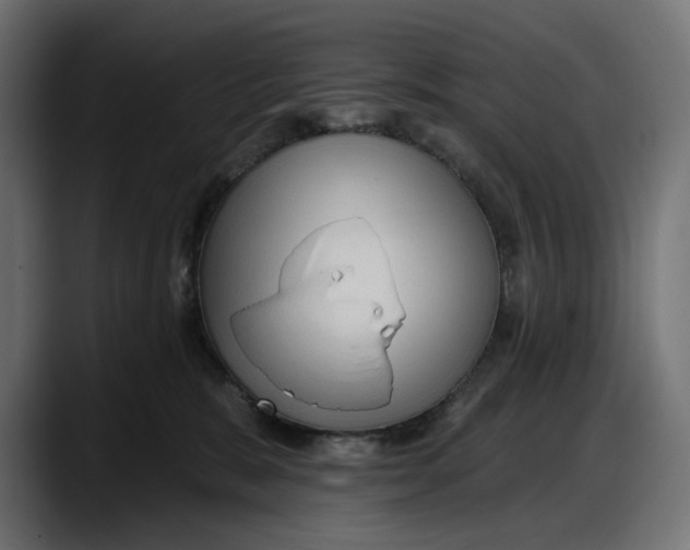 X0000087740327200705291018