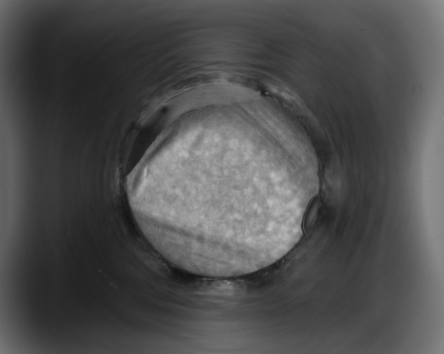X0000087740330200705291018