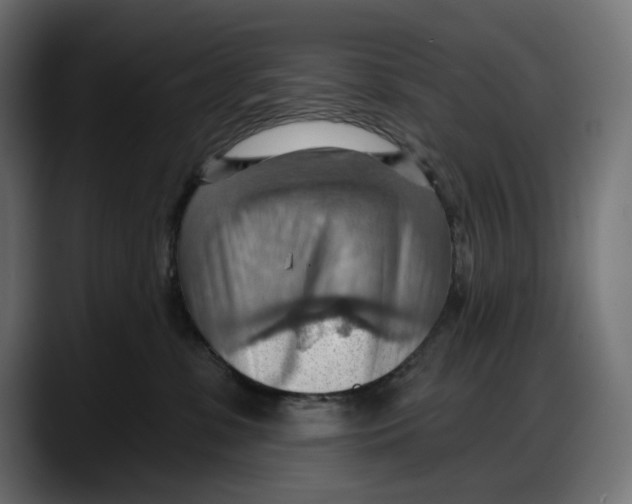 X0000087740331200705291018