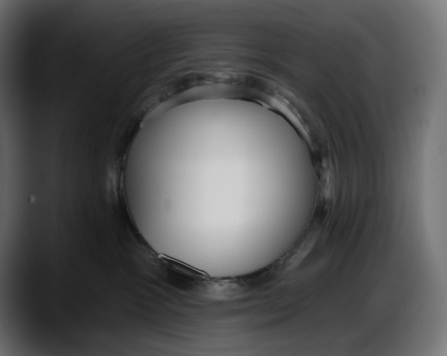 X0000087740333200705291018