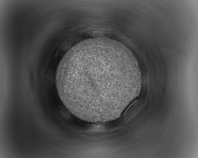 X0000087740335200705291018