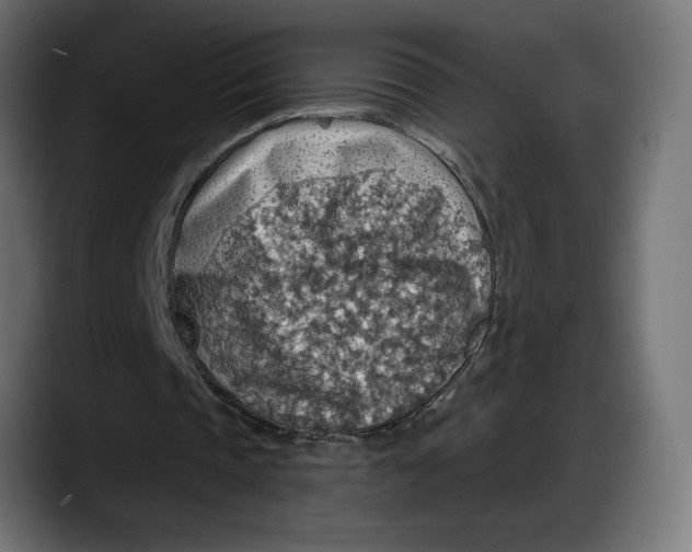 X0000087740337200705291017