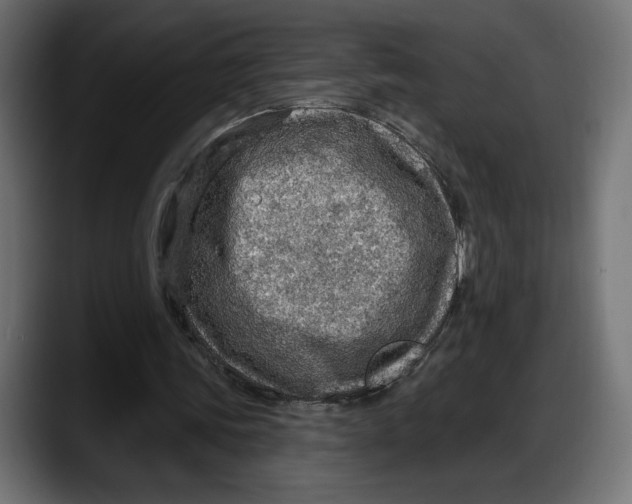 X0000087740339200705291017