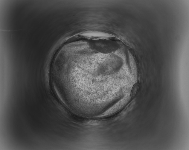X0000087740341200705291017