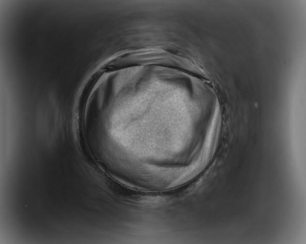 X0000087740342200705291017