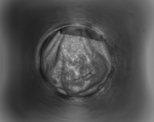 X0000087740343200705291017