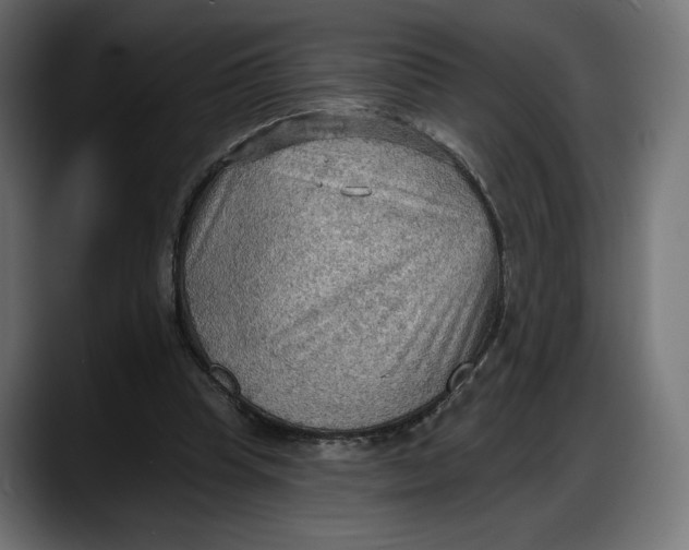 X0000087740345200705291017