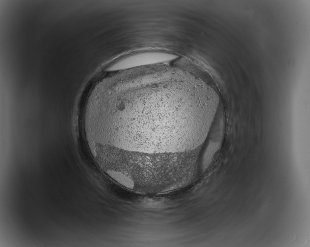 X0000087740346200705291017