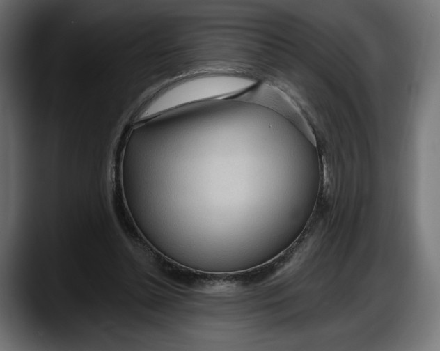 X0000087740348200705291017