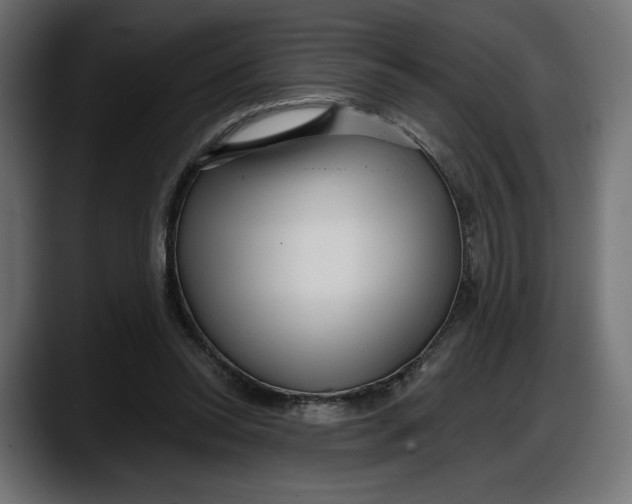 X0000087740350200705291017