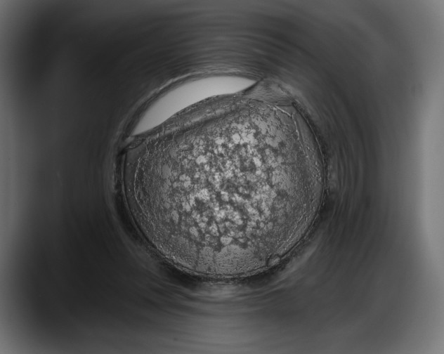 X0000087740351200705291017