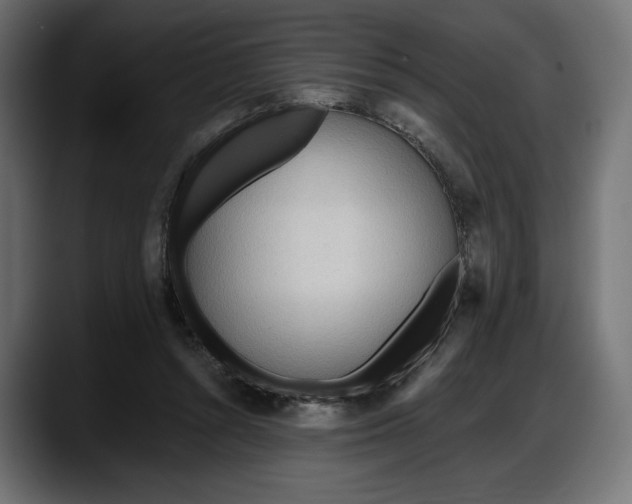 X0000087740352200705291017