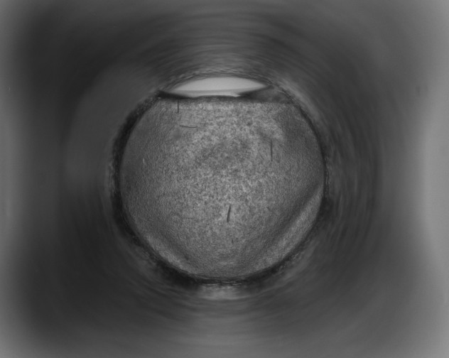 X0000087740354200705291017