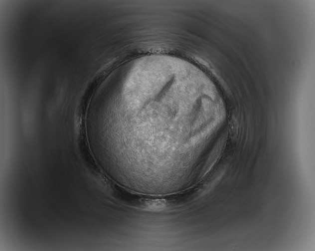 X0000087740355200705291017