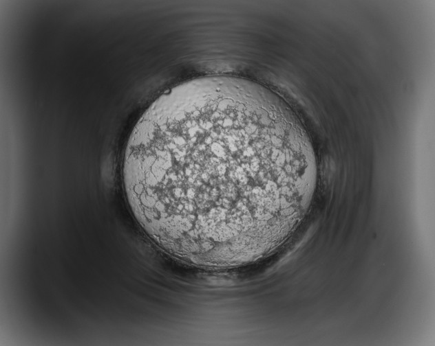X0000087740359200705291018