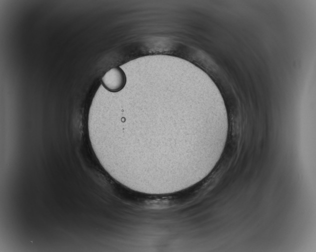 X0000087740362200705291018
