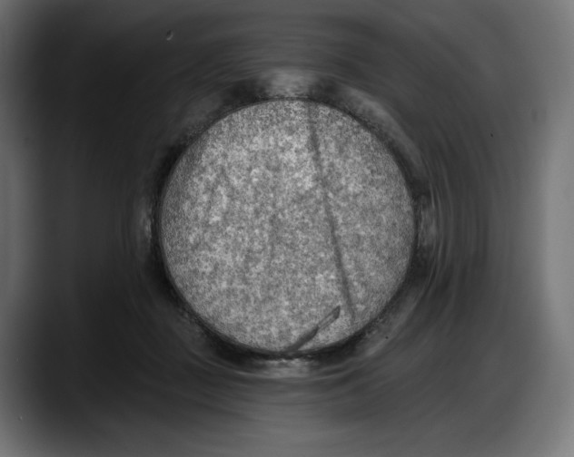 X0000087740363200705291018