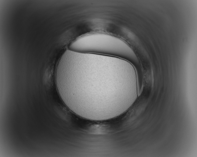 X0000087740364200705291018