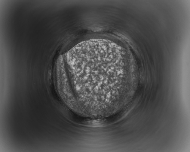 X0000087740365200705291018