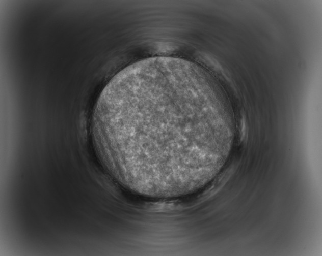 X0000087740366200705291018
