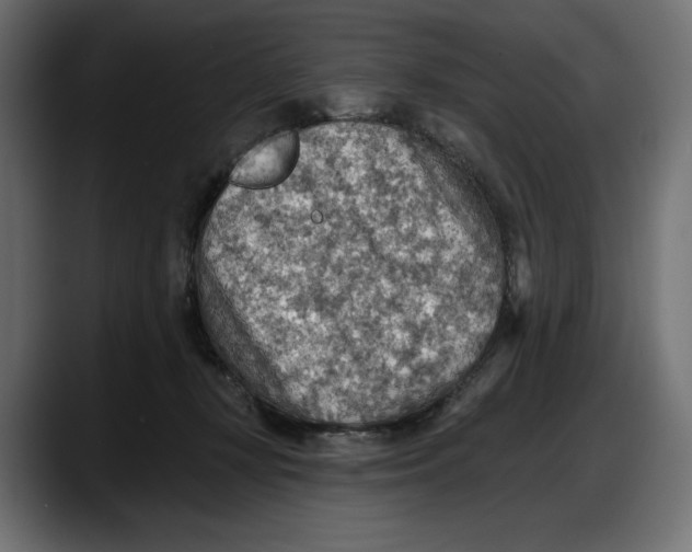 X0000087740367200705291018