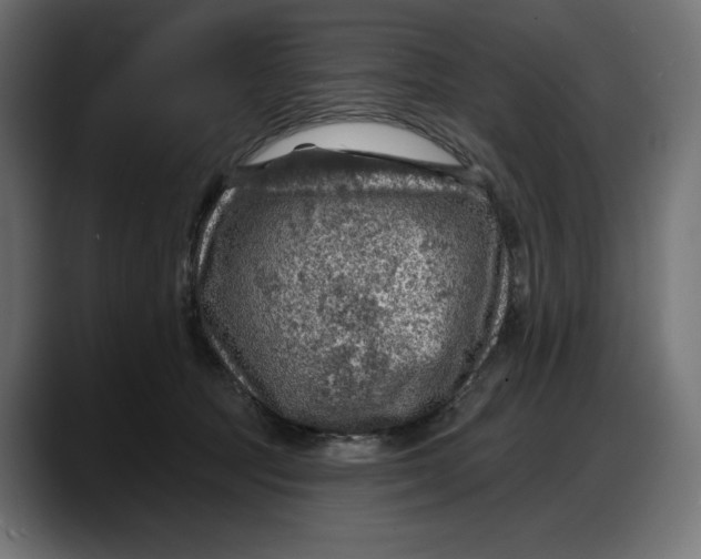 X0000087740369200705291018