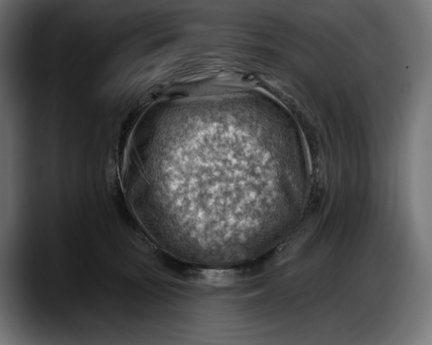 X0000087740371200705291018