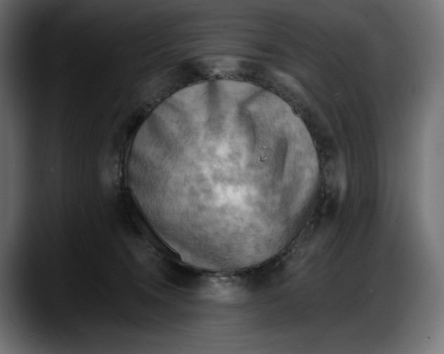 X0000087740372200705291018
