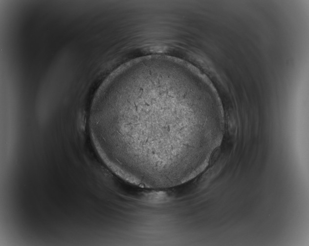 X0000087740374200705291018