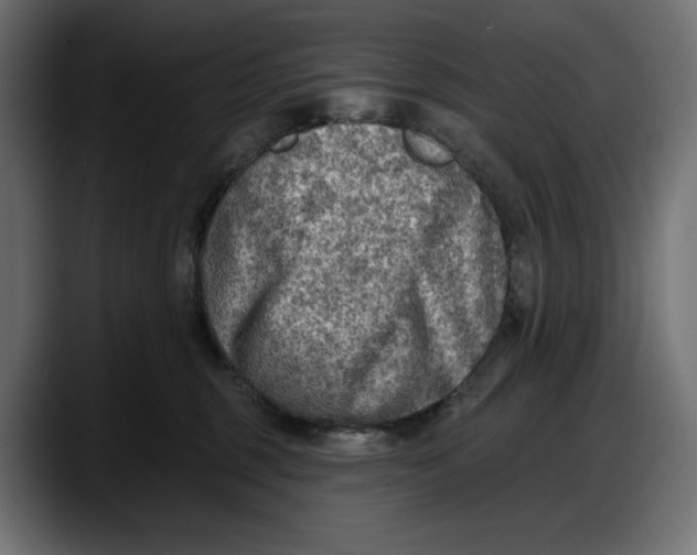 X0000087740375200705291018