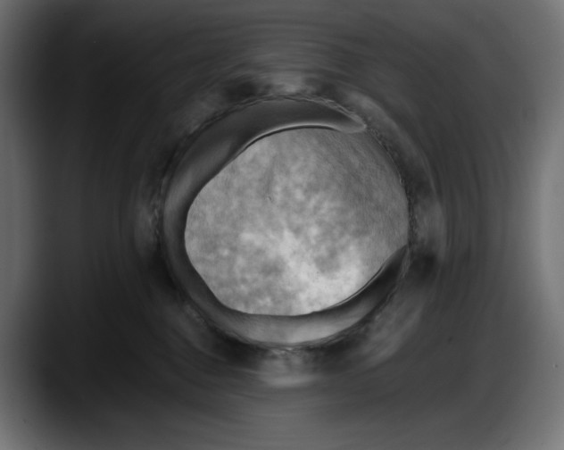 X0000087740376200705291018