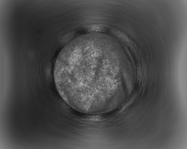 X0000087740377200705291018