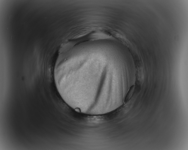X0000087740378200705291018