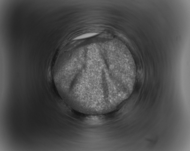 X0000087740381200705291018