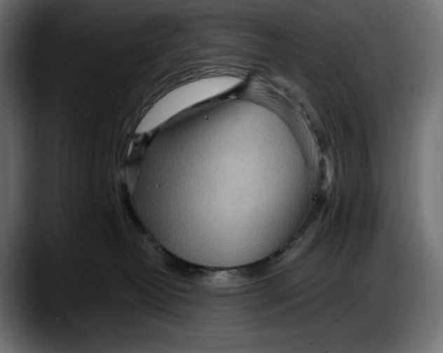 X0000087740382200705291018