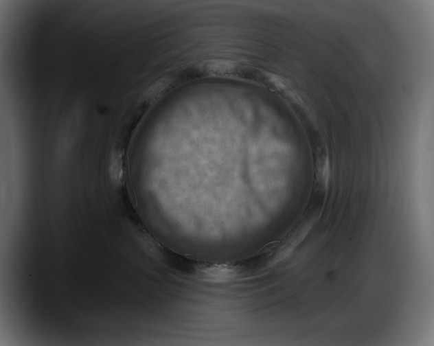 X0000087740383200705291018