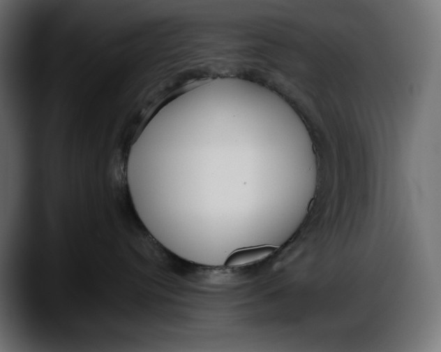 X0000087740384200705291018