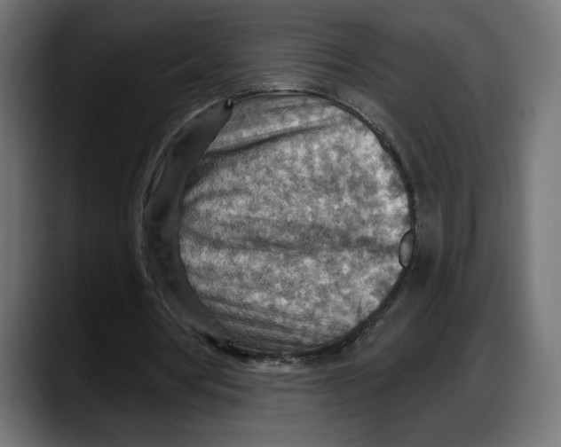 X0000087740386200705291017