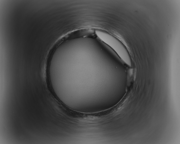 X0000087740387200705291017